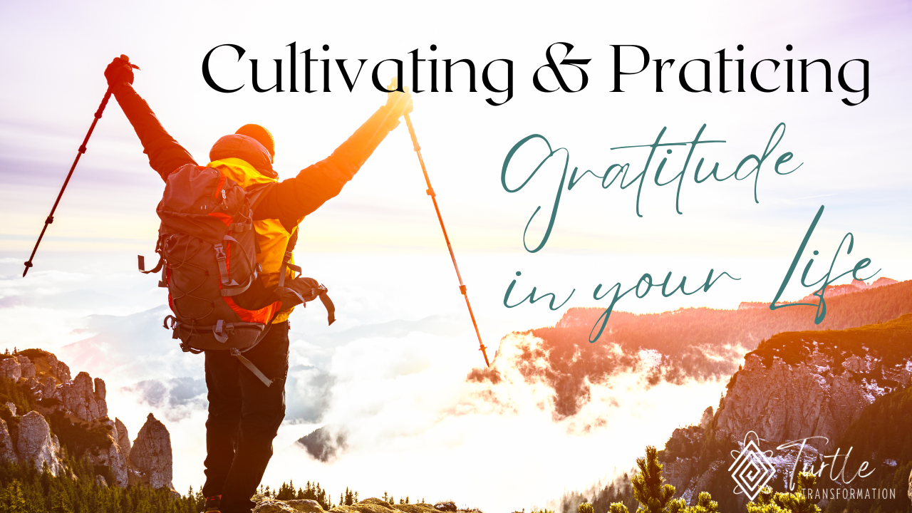 Cultivating & Practicing Gratitude in your Life & Business - Wednesday event at Kerry Mental Health & Wellbeing Fest 2023