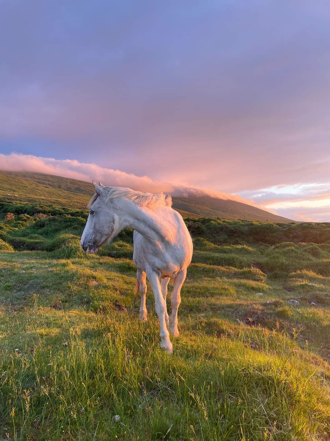 Clippity Clop Therapeutic Horse Riding event at Kerry Mental Health & Wellbeing Fest 2023