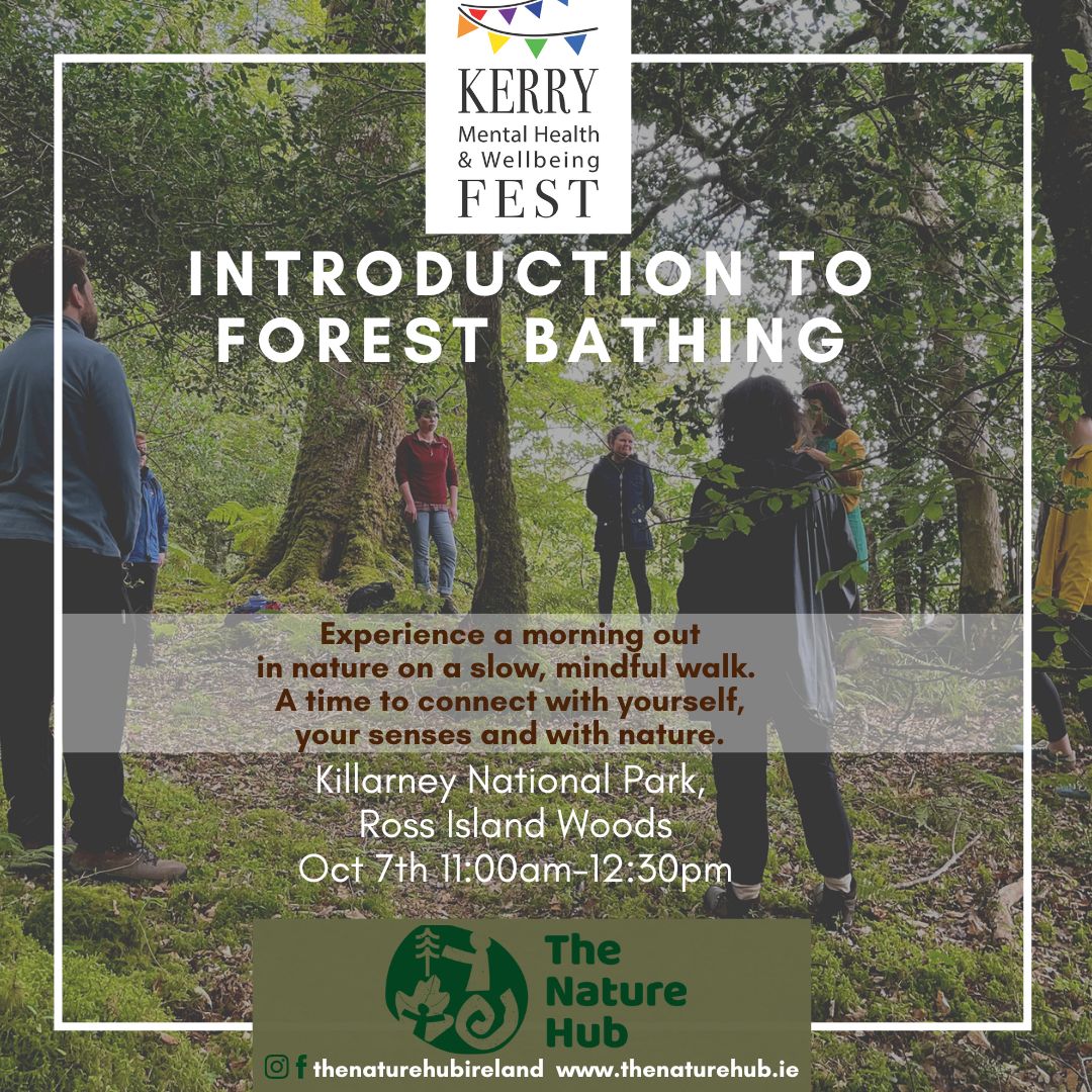 Forest Bathing Walk event at Kerry Mental Health & Wellbeing Fest 2022