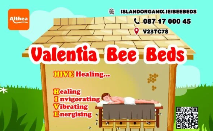 Valentia Bee Beds event at Kerry Mental Health & Wellbeing Fest 2022