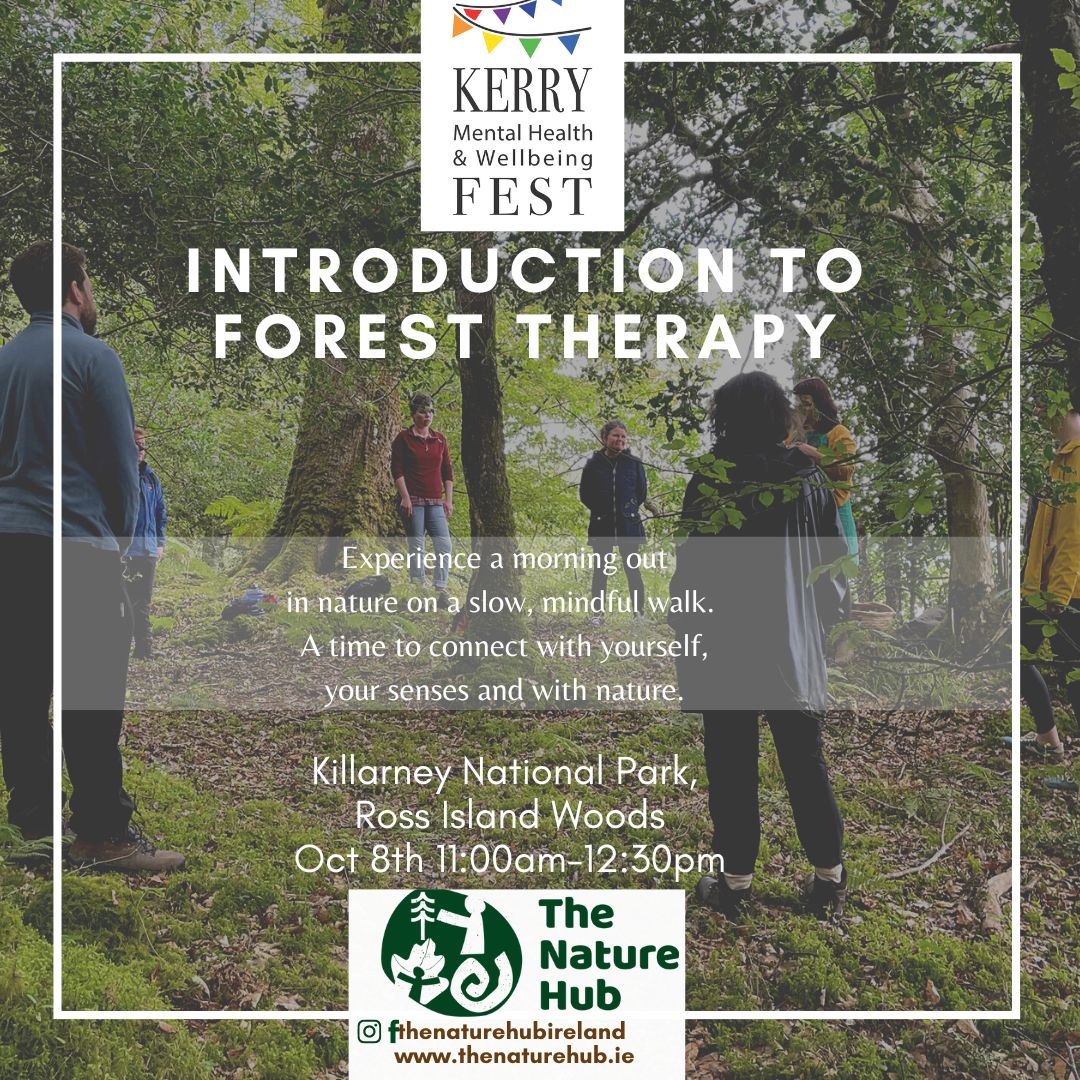 Forest Therapy Walk event at Kerry Mental Health & Wellbeing Fest 2022